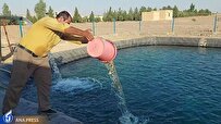 رهاسازی ۶۵۰ قطعه قزلآلا در استخر پرورش ماهی دانشگاه آزاد اشکذر