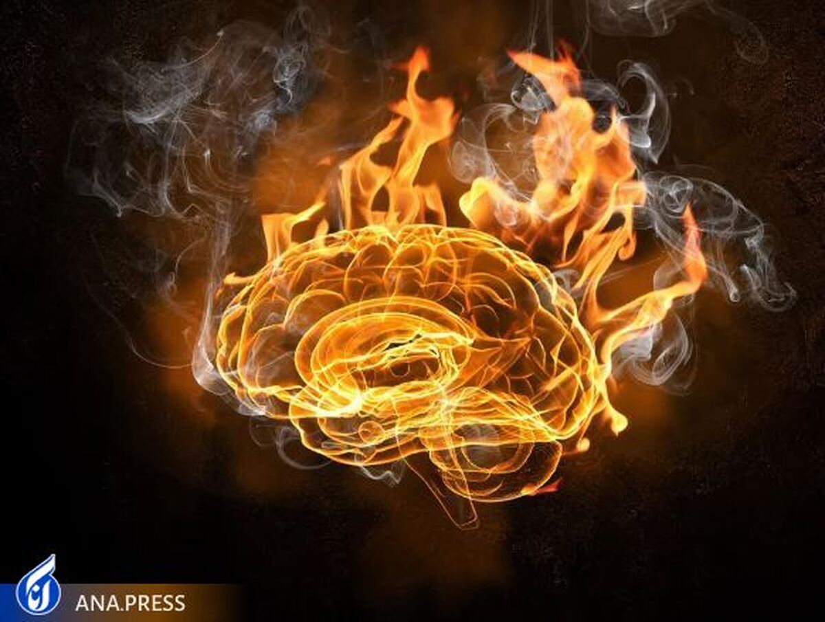 وقتی هوا خیلی گرم است در مغز چه اتفاقی می‌افتد؟