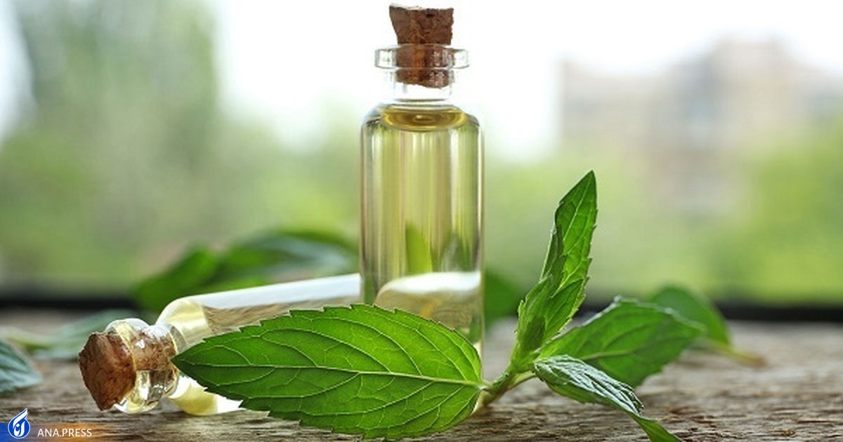 توسعه صادرات یک شرکت دانشبنیان با ثبت علامت تجاری
