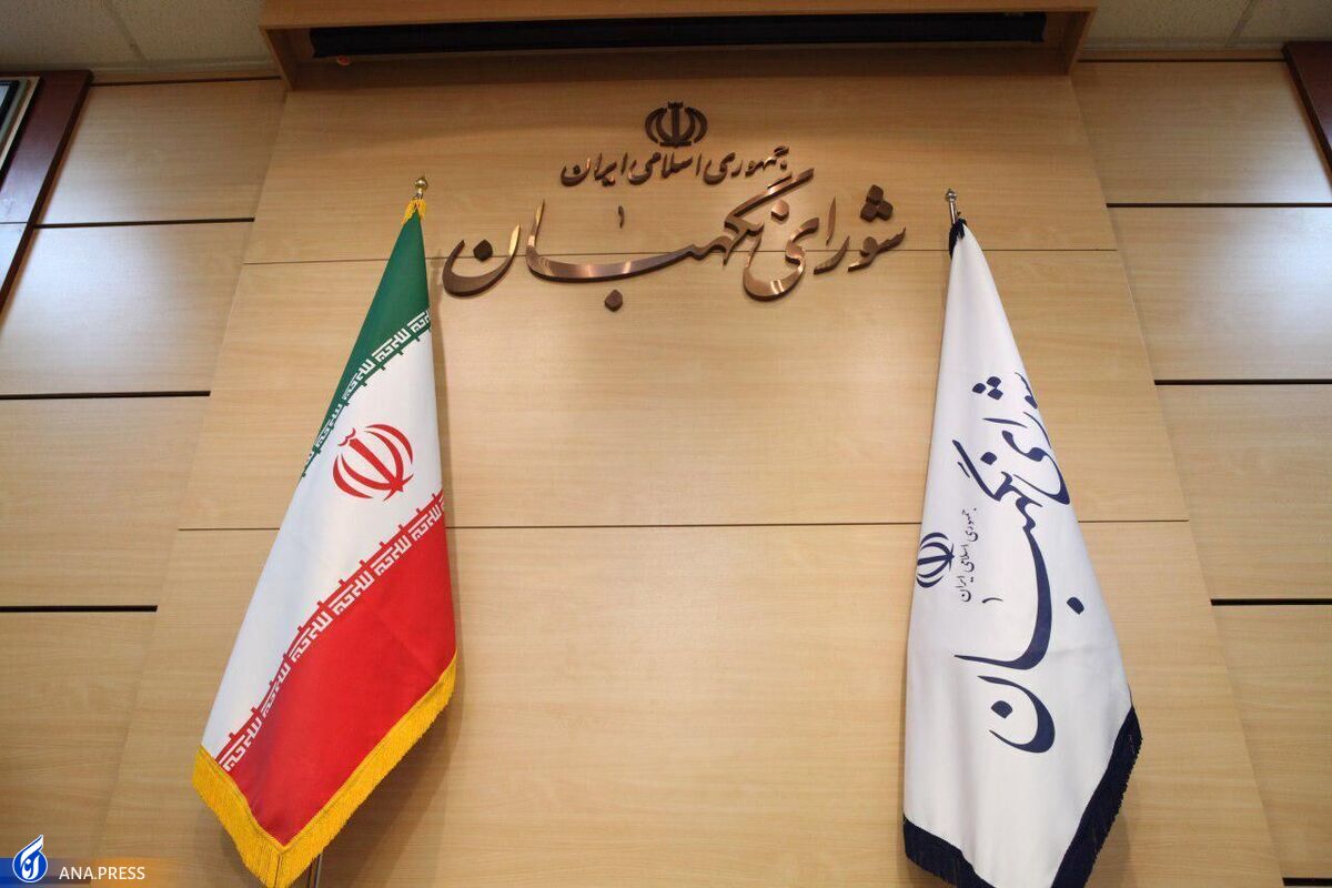 تأیید طرح «مانعزدایی از توسعه صنعت برق» در شورای نگهبان