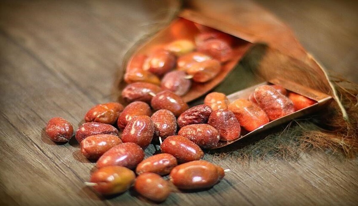 سنجد؛ یک لاغر کننده فوق حرفهای!