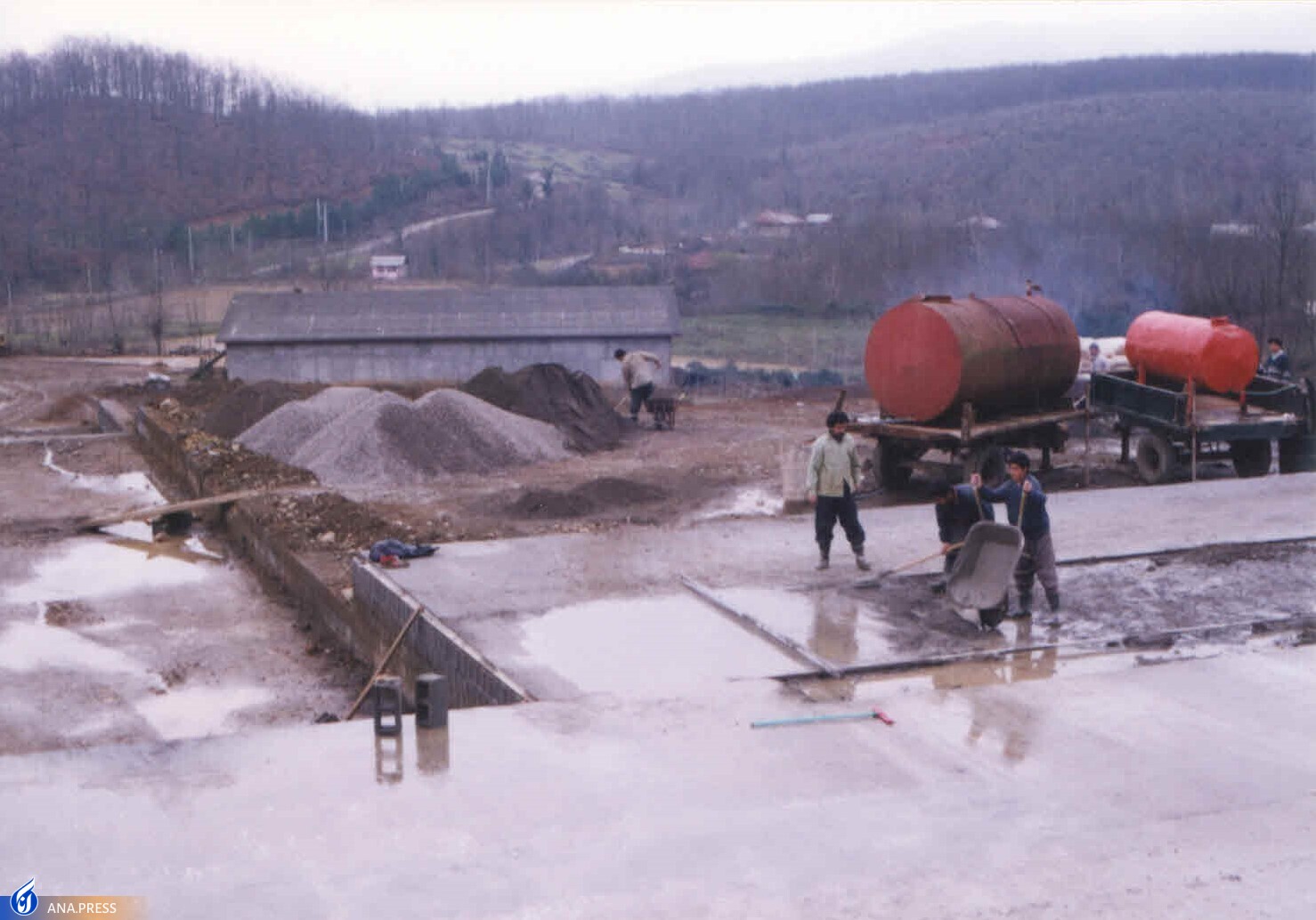 مدیر پژوهش دانشکده کشاورزی و منابع طبیعی مدیر پژوهش دانشکده کشاورزی و منابع طبیعی