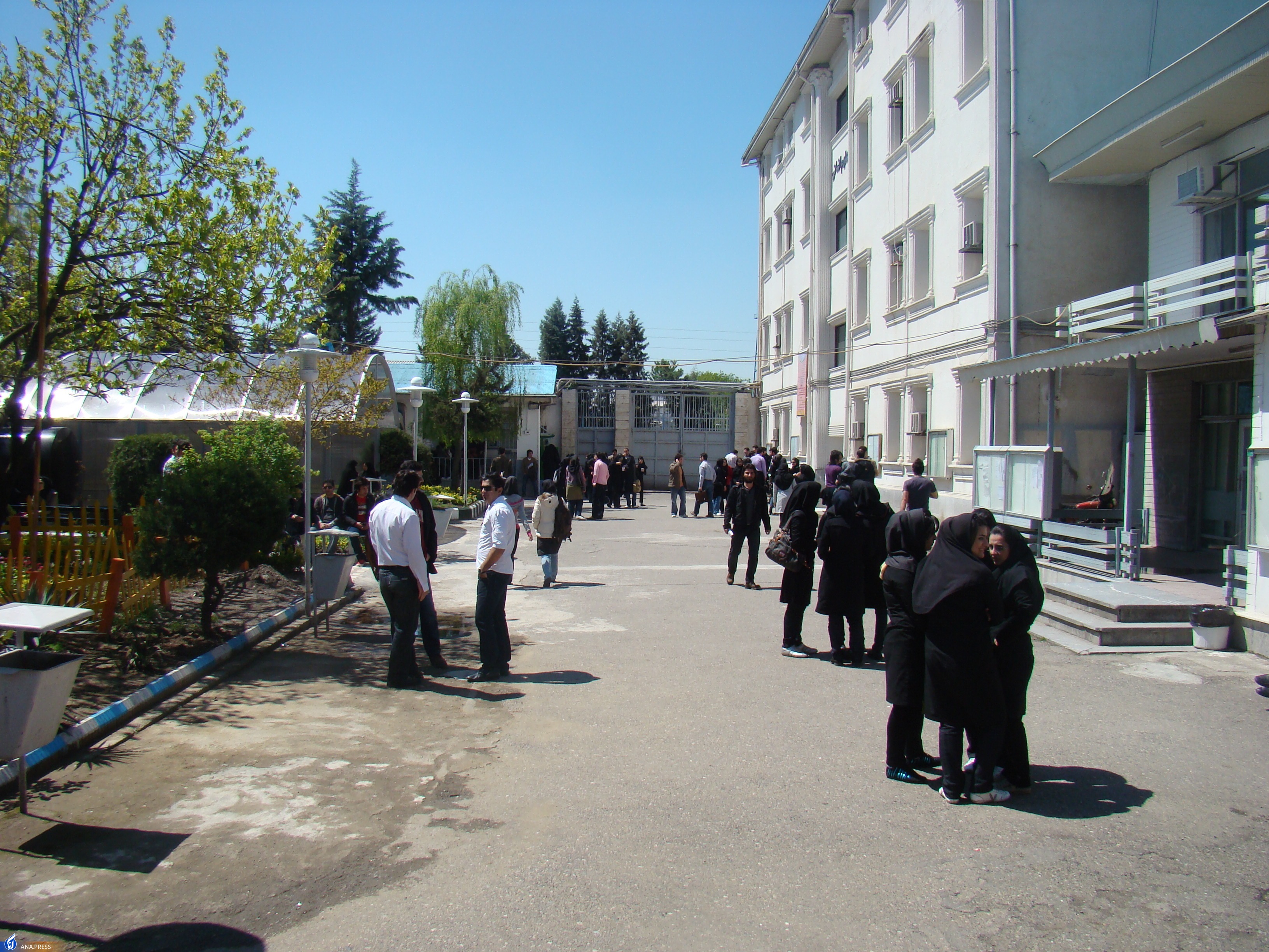 مدیر پژوهش دانشکده کشاورزی و منابع طبیعی مدیر پژوهش دانشکده کشاورزی و منابع طبیعی