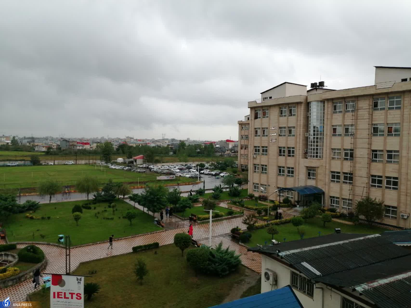 مدیر پژوهش دانشکده کشاورزی و منابع طبیعی مدیر پژوهش دانشکده کشاورزی و منابع طبیعی