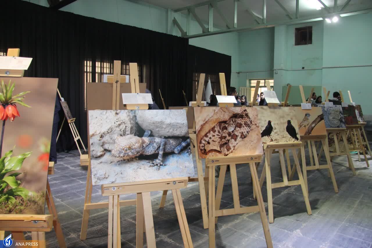 دانشگاه&zwnj; گنجینه&zwnj;های پنهان را در قالب نمایشگاه&zwnj;ها معرفی کند