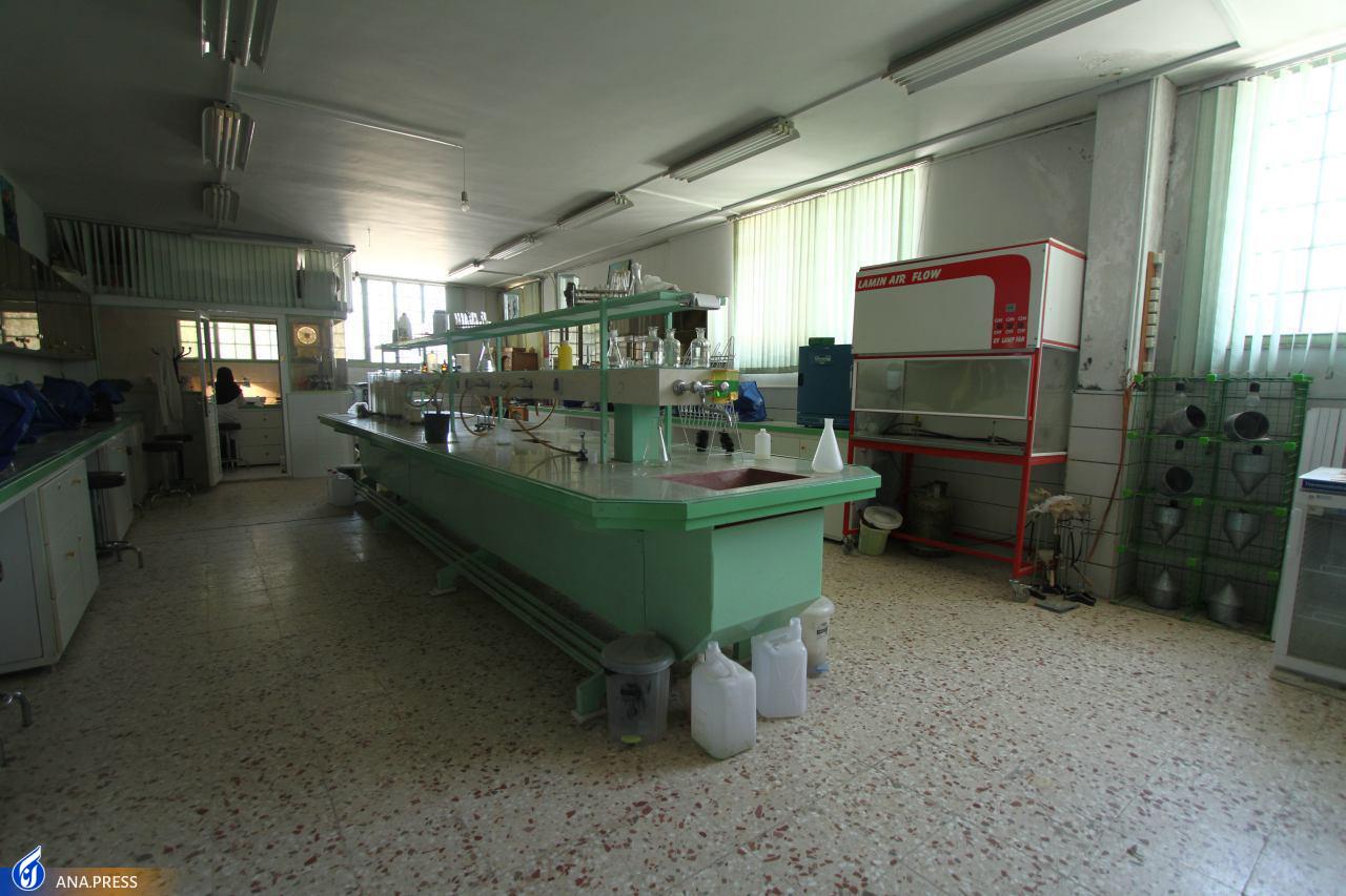 فعالیت نخستین کلینیک گیاهپزشکی درجه یک دانشگاهی در بجنورد فعالیت نخستین کلینیک گیاهپزشکی درجه یک دانشگاهی در بجنورد