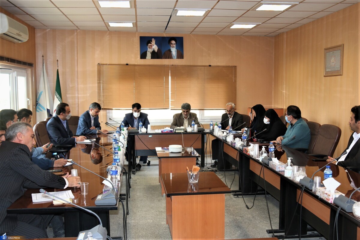 صفدریان: ۷۵۰ طرح استارتآپی در جامعه ایثارگری شناسایی شد