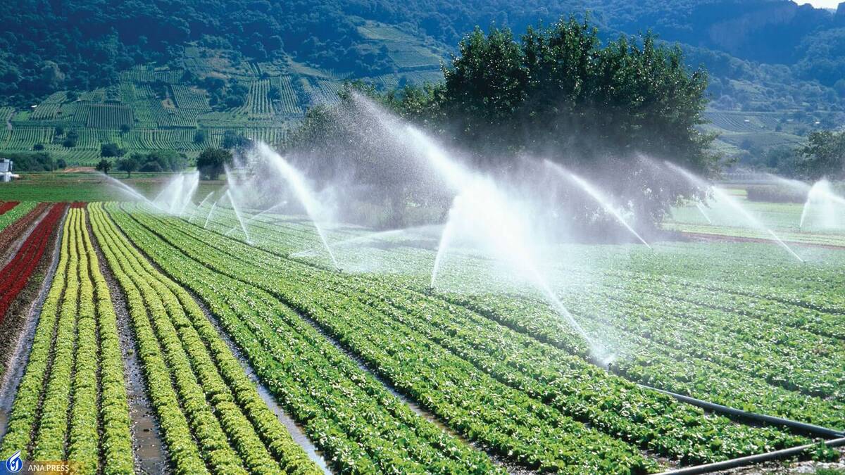 کاهش مصرف آب در کشاورزی با سامانهای بومی و هوشمند