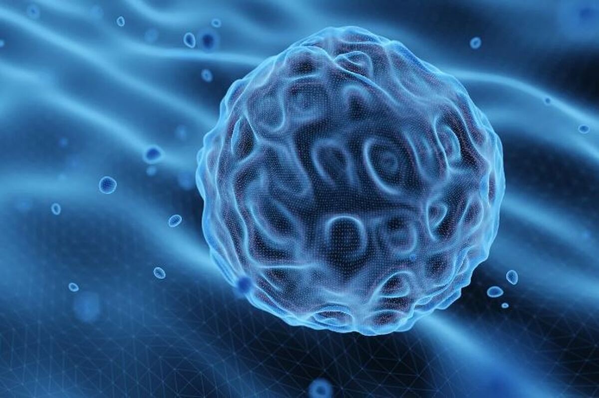 یافتههای جدید، معمای چگونگی کنترل استرس توسط سلولها را روشن میکند