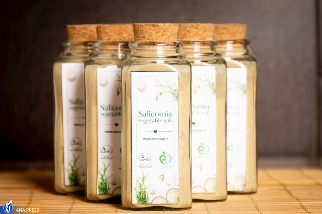 تولید چاشنی شور گیاهی برای نخستین بار در ایران