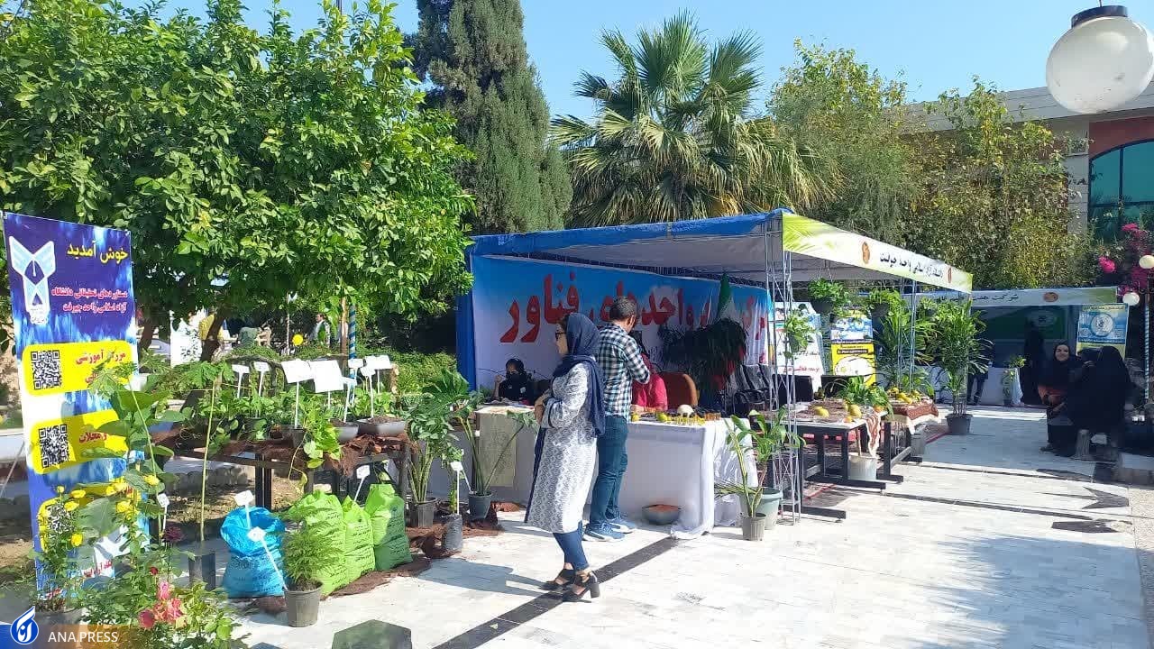 بستهبندی محصولات کشاورزی از 30 سال پیش تاکنون تغییر نکرده است بستهبندی محصولات کشاورزی از 30 سال پیش تاکنون تغییر نکرده است