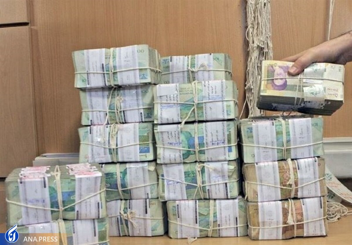 توزیع یارانه، علت افزایش سهم پول از نقدینگی در سال جاری