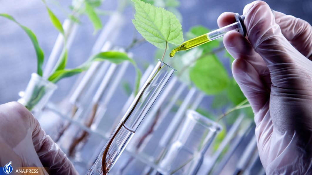 یک قدم تا قله خودکفایی؛ زیست فناوری چگونه برای کشور ثروت آفرینی میکند؟ یک قدم تا قله خودکفایی؛ زیست فناوری چگونه برای کشور ثروت آفرینی میکند؟