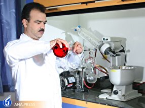 موشهای مزاحم به دام افتادند/ تولید «طعمه موشکش شتاب» دوستدار محیطزیست