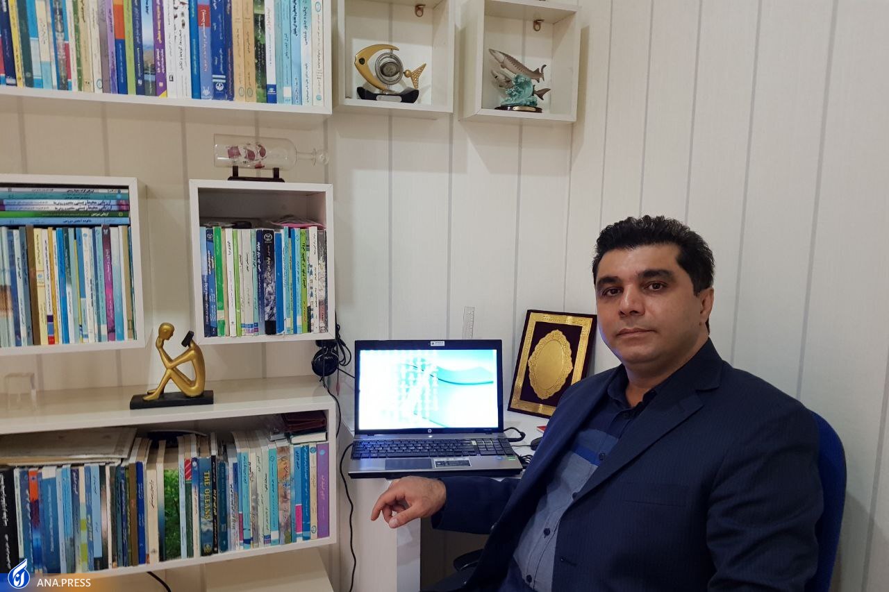 &laquo;تالاب انزلی&raquo;؛ منطقه مردابی و آب&zwnj;ماند یا اکوسیستم باتلاق و جنگل