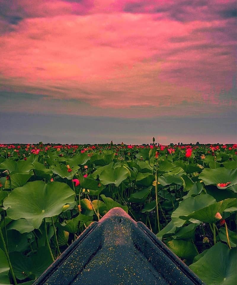 &laquo;تالاب انزلی&raquo;؛ منطقه مردابی و آب&zwnj;ماند یا اکوسیستم باتلاق و جنگل