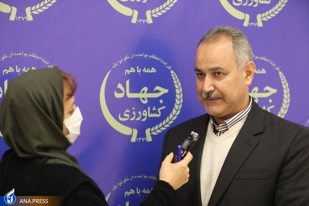 اجرای ۵۰۰ هزار هکتار کشاورزی حفاظتی هدفگذاری شد