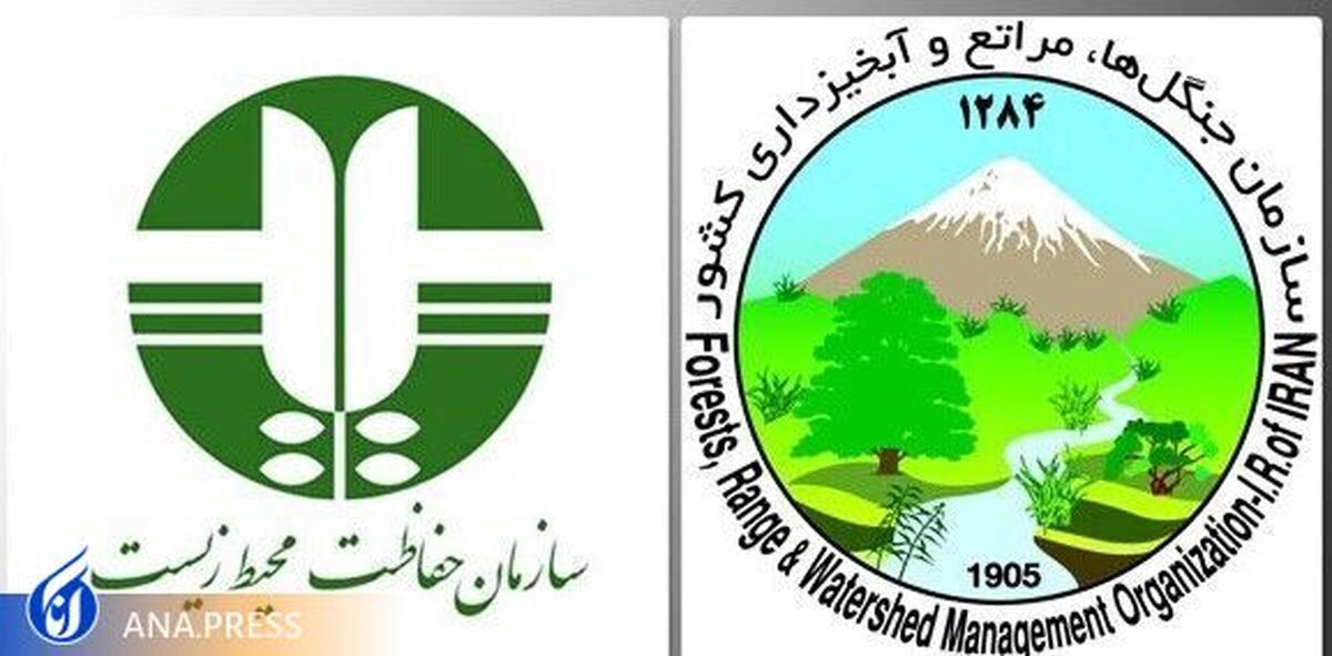 ادغام سازمان محیط زیست و سازمان منابع طبیعی، بیراهه پرمخاطره