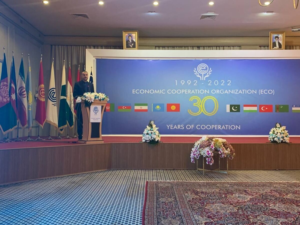 ایران از هر فرصتی برای تقویت روندهای همگرایی در اکو استفاده میکند