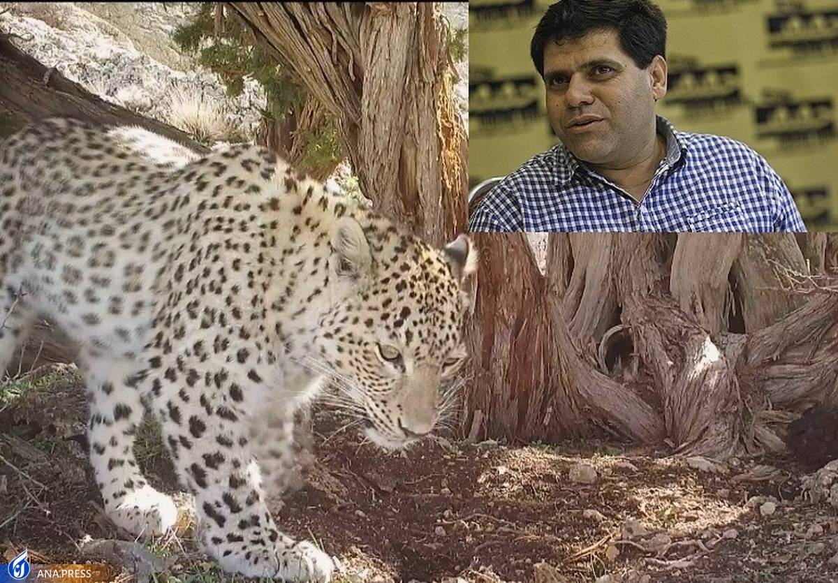 مستندسازی از حیات وحش یعنی داشتن «صبر و امید»