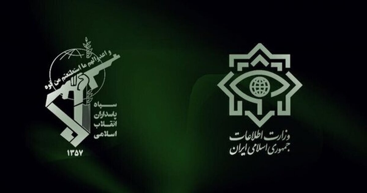 واینرهای دارای فعالیت مجرمانه در فضای مجازی دستگیر شدند