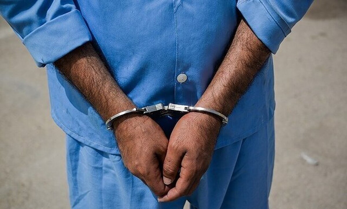 عامل اصلی اغتشاشات پاساژ علاءالدین دستگیر شد