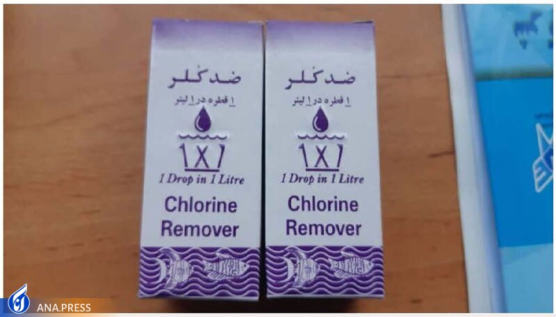 تولید دانش&zwnj;بنیان تخم&zwnj;مرغ&zwnj;های غنی&zwnj;شده با مواد معدنی