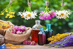 تولید نمونه اولیه داروی گیاهی برای بیماریهای قلبی