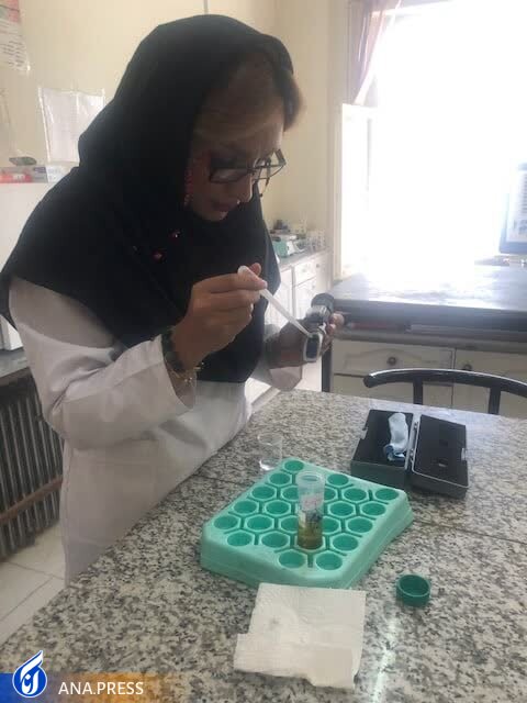 بهینه سازی تولید سس ماهی