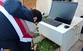 تجاری‌سازی دستگاه سنجش کیفیت برگ سبز چای بر مبنای هوش مصنوعی
