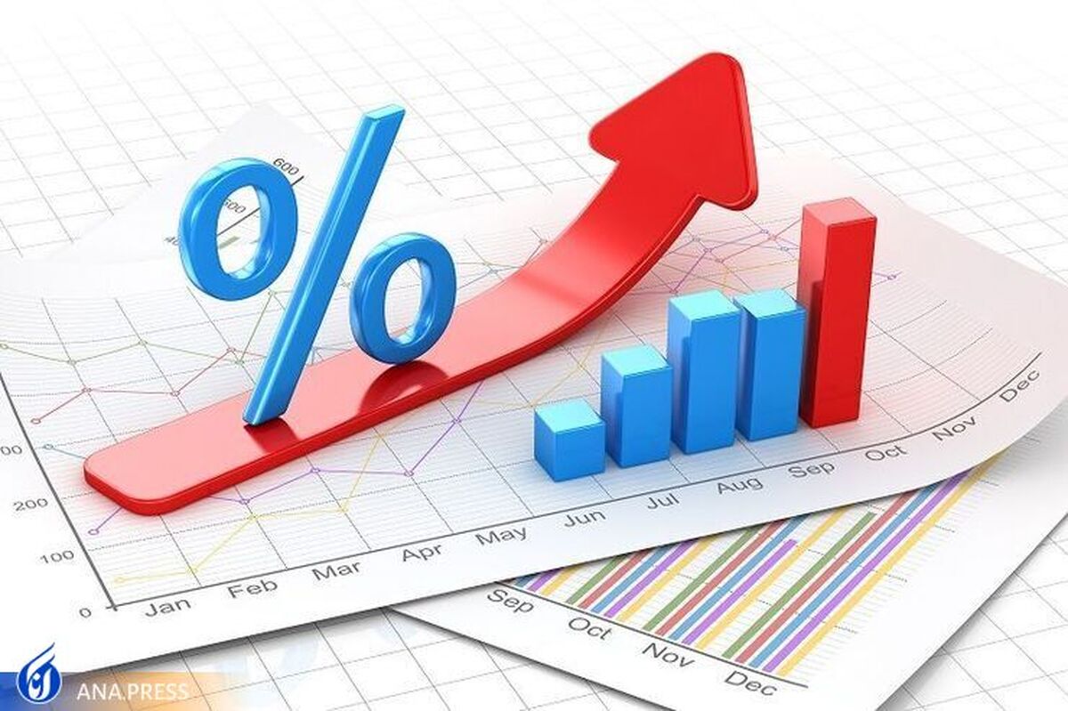 راهکارهای «مهار تورم و رشد تولید» از نگاه یک عضو هیئت علمی دانشگاه