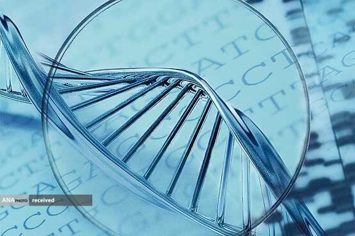 حفاظت از ذخایر ژنتیکی مسئولیت اجتماعی برای آیندگان است