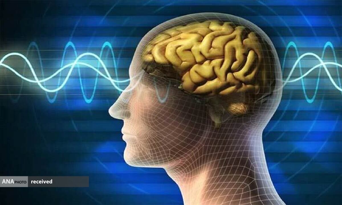 چرا آلزایمر را یک بیماری خودایمنی میدانند؟