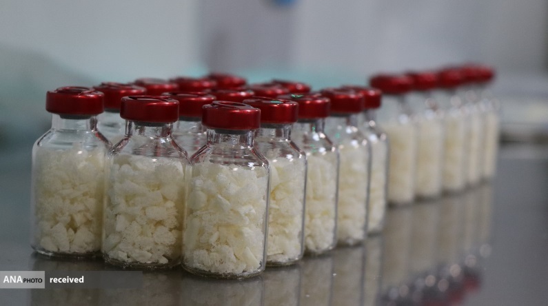 تولید لوازم یدکی بدن انسان توسط!/نجات بیماران از قطع عضو با فناوری بومی تولید لوازم یدکی بدن انسان توسط!/نجات بیماران از قطع عضو با فناوری بومی