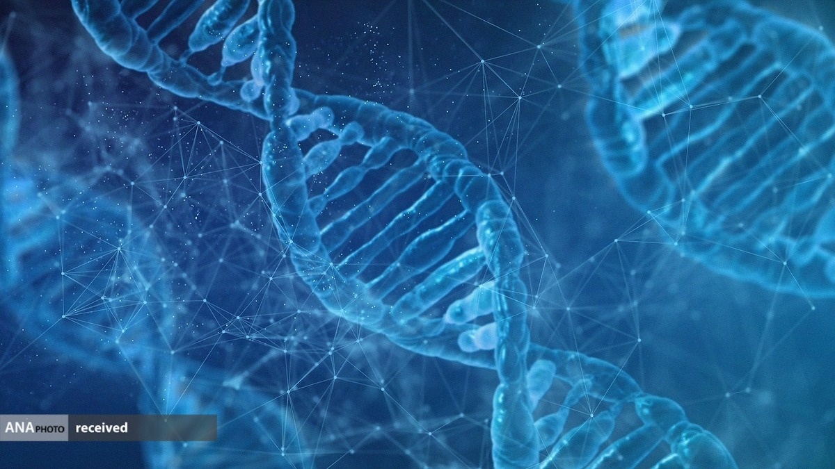 پیشبینی پاسخهای ایمنی بدن به نانوذرات DNA با کمک هوش مصنوعی