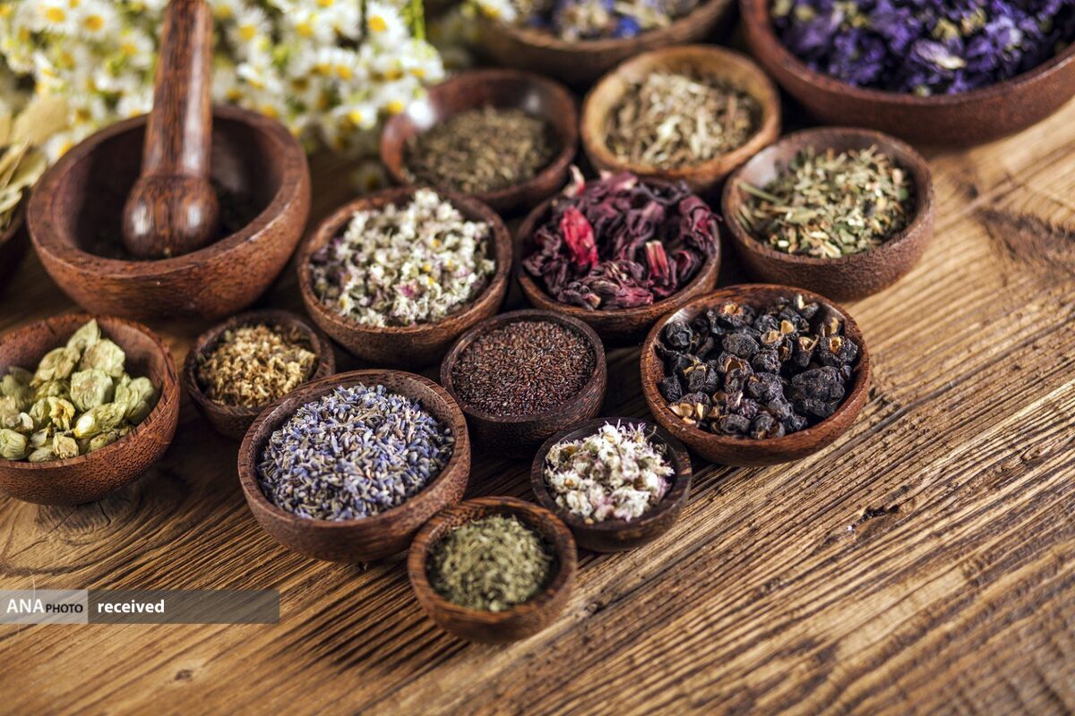 صادرات ۶۰۰ میلیون دلاری گیاهان دارویی