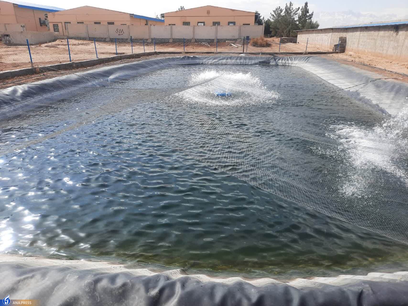 ظرفیت نیروگاه خورشیدی دانشگاه آزاد اشکذر ۲ برابر میشود ظرفیت نیروگاه خورشیدی دانشگاه آزاد اشکذر ۲ برابر میشود