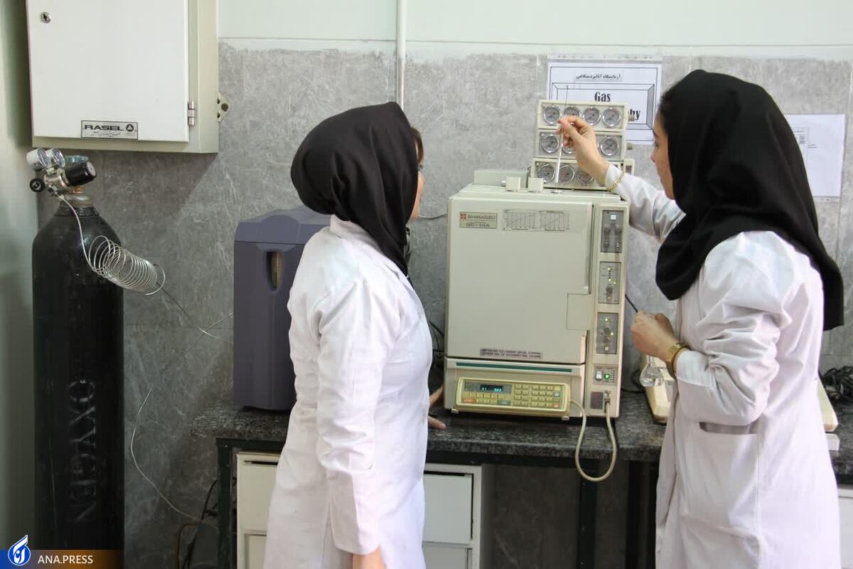 ۱۴ روش مؤثر برای رشد و شکوفایی مراکز رشد واحدهای فناور