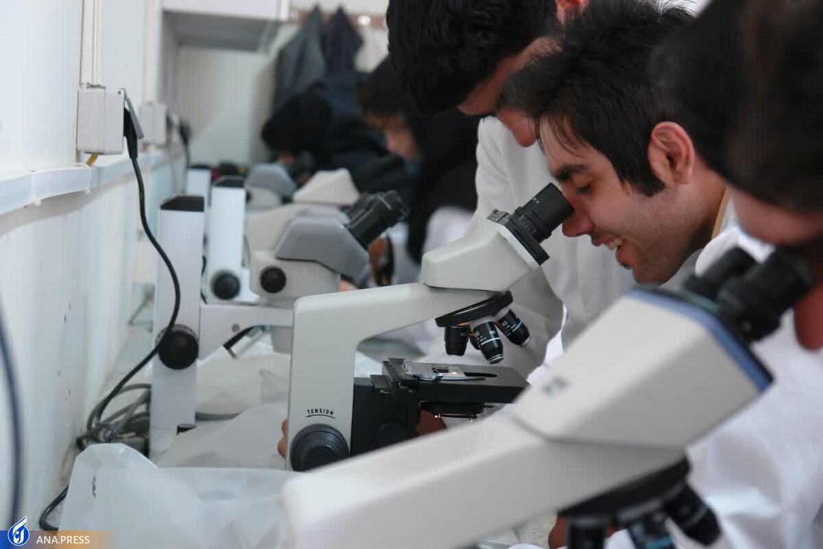 توسعه فعالیتهای دانشبنیان با هدفمندکردن پایاننامههای دانشجویی