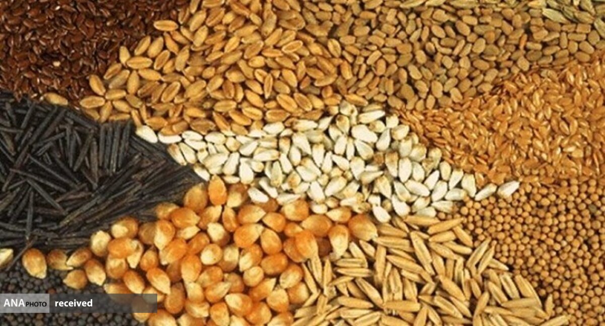 خودکفایی در تولید عصاره مخمر برای خوراک دام و طیور