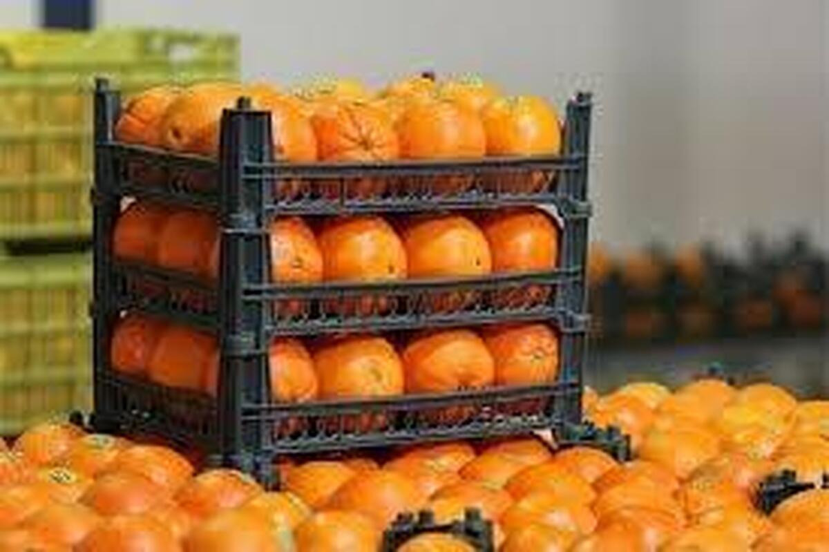 تأمین و تنظیم بازار میوه شب عید وضع خوبی نداشت