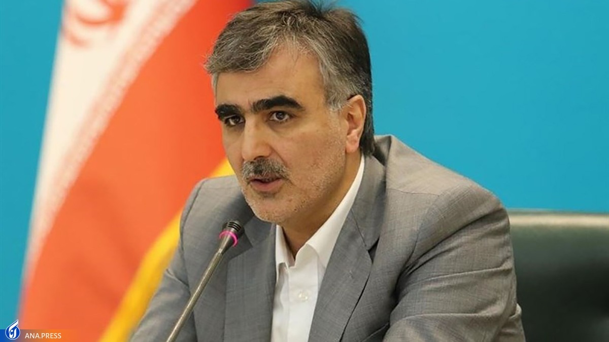 فرزین: تلاش میکنیم نرخ تورم را به کانال ۲۰ تا ۳۰ درصد برسانیم