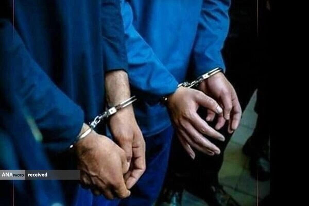 بازداشت سارق حرفهای با شلیک دقیق کارآگاهان پلیس آگاهی