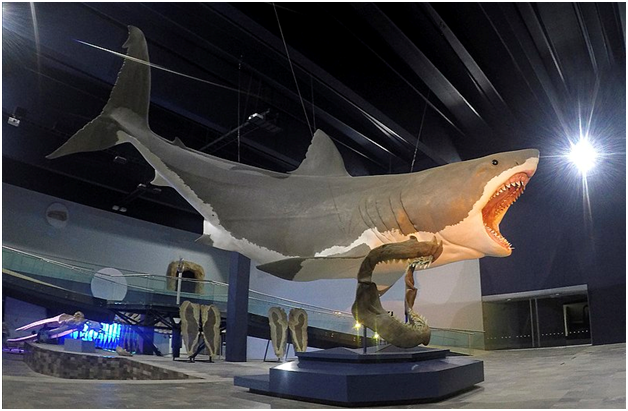 6 جانور عظیمالجثهای که واقعاً وجود دارند 6 جانور عظیمالجثهای که واقعاً وجود دارند