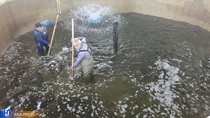 رشته دامپزشکی در دانشگاه آزاد اسلامی ورامین راهاندازی میشود رشته دامپزشکی در دانشگاه آزاد اسلامی ورامین راهاندازی میشود