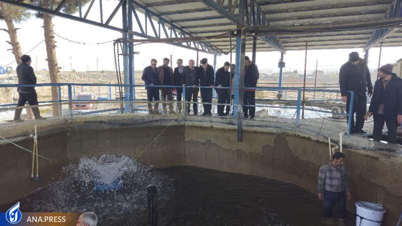 رشته دامپزشکی در دانشگاه آزاد اسلامی ورامین راهاندازی میشود رشته دامپزشکی در دانشگاه آزاد اسلامی ورامین راهاندازی میشود