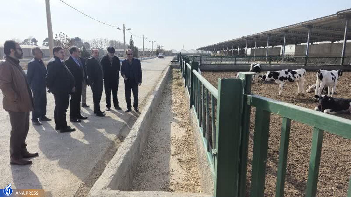 رشته دامپزشکی در دانشگاه آزاد اسلامی ورامین راهاندازی میشود