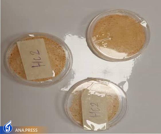 خبری خوش برای بیماران دیابتی/ رونمایی از محصولی دانشبنیان که از قطع عضو دیابتیها جلوگیری میکند خبری خوش برای بیماران دیابتی/ رونمایی از محصولی دانشبنیان که از قطع عضو دیابتیها جلوگیری میکند