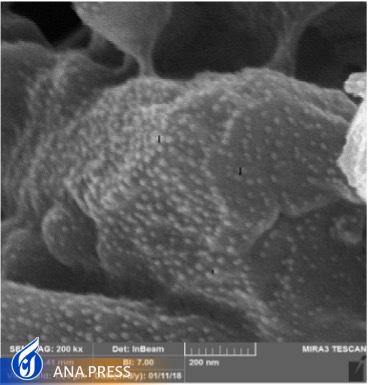 خبری خوش برای بیماران دیابتی/ رونمایی از محصولی دانشبنیان که از قطع عضو دیابتیها جلوگیری میکند خبری خوش برای بیماران دیابتی/ رونمایی از محصولی دانشبنیان که از قطع عضو دیابتیها جلوگیری میکند