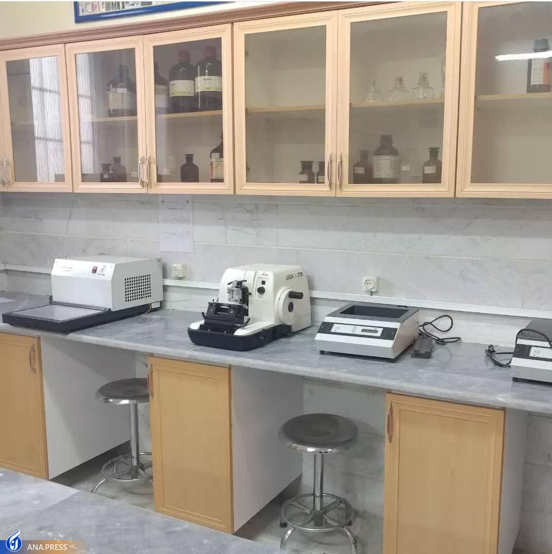 ارائه خدمات آزمایشگاهی محصولمحور ارائه خدمات آزمایشگاهی محصولمحور